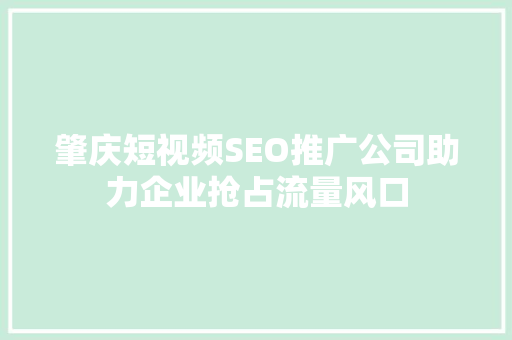 肇庆短视频SEO推广公司助力企业抢占流量风口