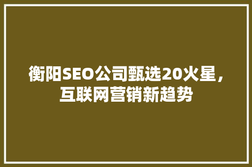 衡阳SEO公司甄选20火星，互联网营销新趋势