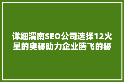 详细渭南SEO公司选择12火星的奥秘助力企业腾飞的秘密武器
