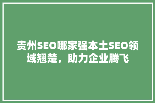 贵州SEO哪家强本土SEO领域翘楚，助力企业腾飞