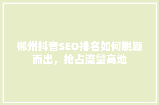 郴州抖音SEO排名如何脱颖而出，抢占流量高地