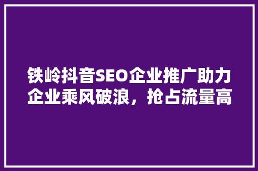 铁岭抖音SEO企业推广助力企业乘风破浪，抢占流量高地