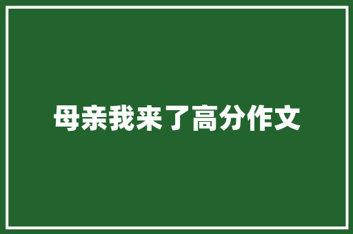 代码D的诞生编程艺术的探索与创新