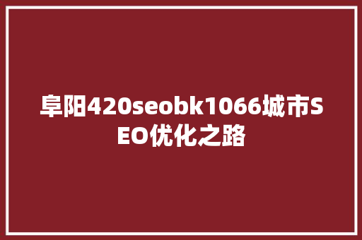 阜阳420seobk1066城市SEO优化之路