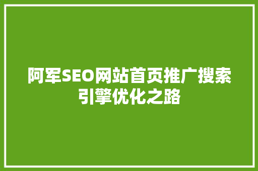 阿军SEO网站首页推广搜索引擎优化之路