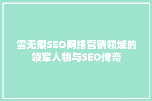 雪无痕SEO网络营销领域的领军人物与SEO传奇
