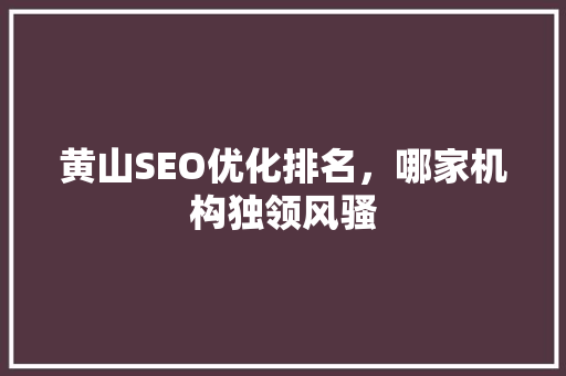 黄山SEO优化排名，哪家机构独领风骚