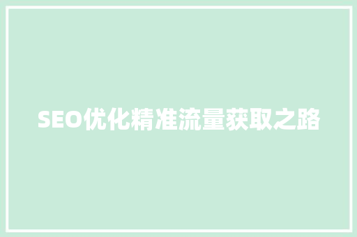 SEO优化精准流量获取之路
