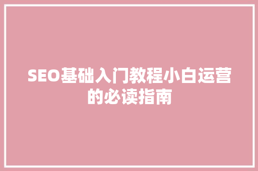 SEO基础入门教程小白运营的必读指南