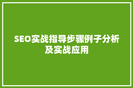 SEO实战指导步骤例子分析及实战应用