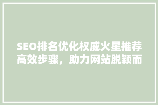SEO排名优化权威火星推荐高效步骤，助力网站脱颖而出