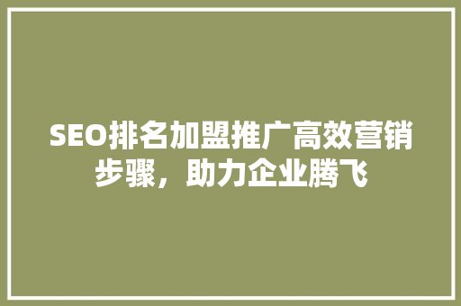 SEO排名加盟推广高效营销步骤，助力企业腾飞