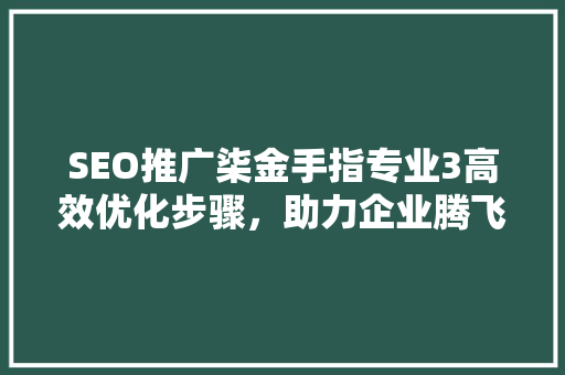 SEO推广柒金手指专业3高效优化步骤，助力企业腾飞