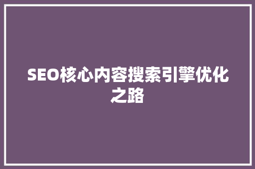 SEO核心内容搜索引擎优化之路