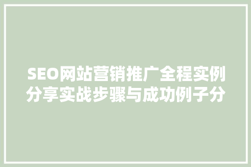SEO网站营销推广全程实例分享实战步骤与成功例子分析