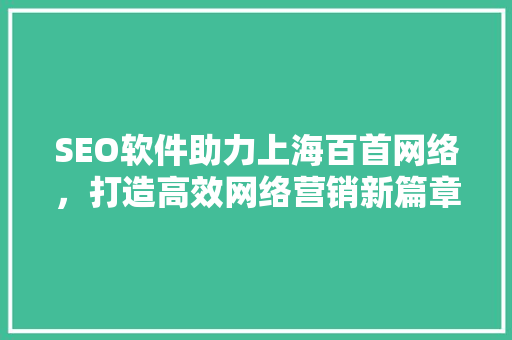 SEO软件助力上海百首网络，打造高效网络营销新篇章