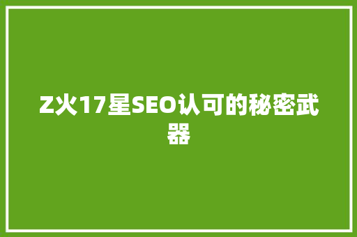 Z火17星SEO认可的秘密武器