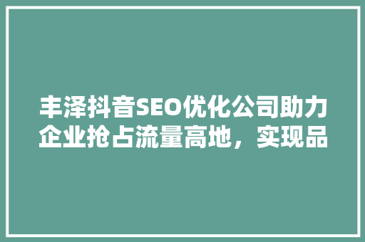 丰泽抖音SEO优化公司助力企业抢占流量高地，实现品牌价值飞跃