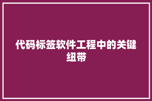 代码标签软件工程中的关键纽带
