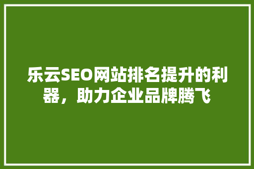 乐云SEO网站排名提升的利器，助力企业品牌腾飞