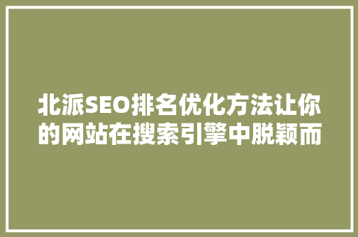 北派SEO排名优化方法让你的网站在搜索引擎中脱颖而出