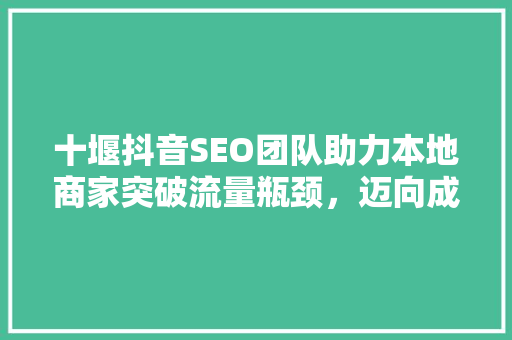 十堰抖音SEO团队助力本地商家突破流量瓶颈，迈向成功之路