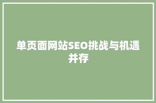 单页面网站SEO挑战与机遇并存