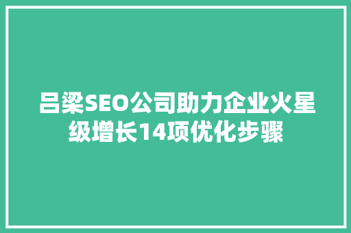 吕梁SEO公司助力企业火星级增长14项优化步骤