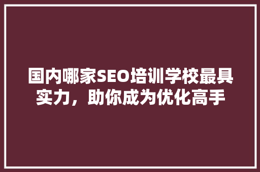 国内哪家SEO培训学校最具实力，助你成为优化高手