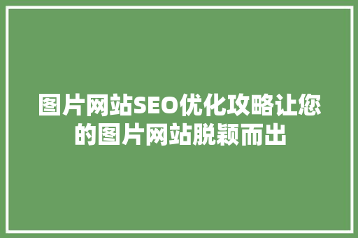 图片网站SEO优化攻略让您的图片网站脱颖而出