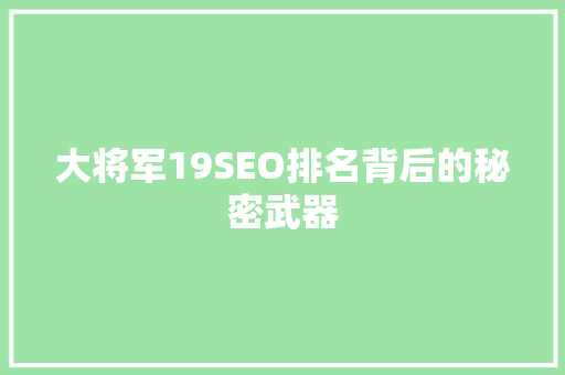 大将军19SEO排名背后的秘密武器