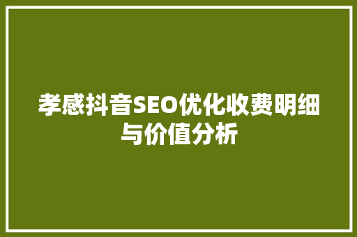 孝感抖音SEO优化收费明细与价值分析  第1张