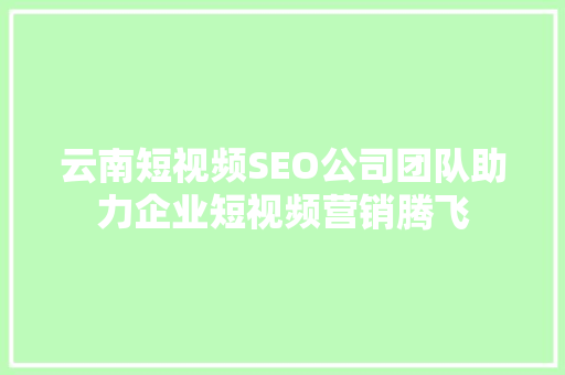 云南短视频SEO公司团队助力企业短视频营销腾飞