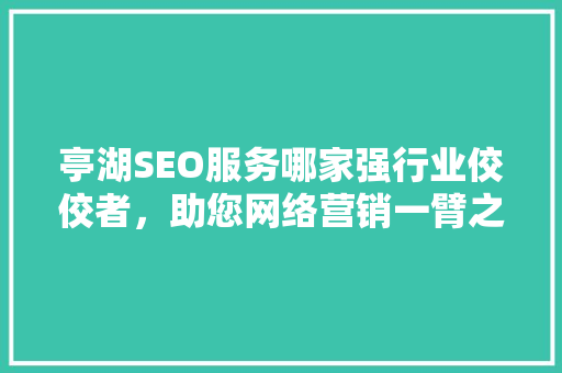亭湖SEO服务哪家强行业佼佼者，助您网络营销一臂之力
