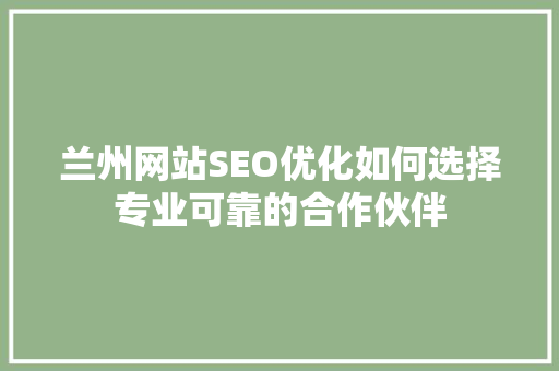 兰州网站SEO优化如何选择专业可靠的合作伙伴