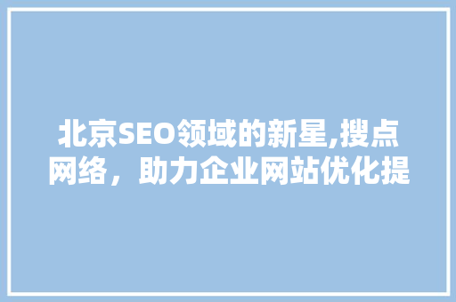 北京SEO领域的新星,搜点网络，助力企业网站优化提升