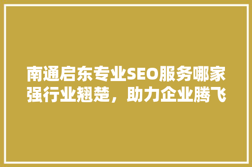 南通启东专业SEO服务哪家强行业翘楚，助力企业腾飞