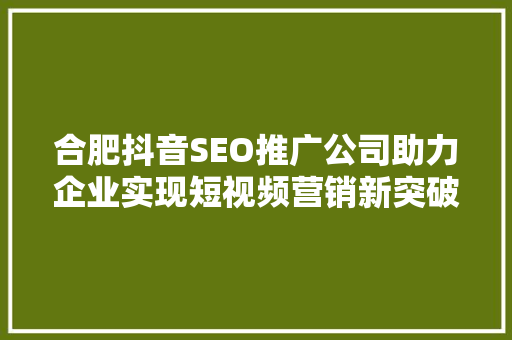 合肥抖音SEO推广公司助力企业实现短视频营销新突破