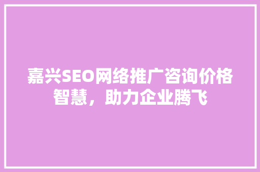 嘉兴SEO网络推广咨询价格智慧，助力企业腾飞
