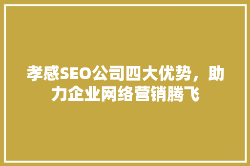孝感SEO公司四大优势，助力企业网络营销腾飞