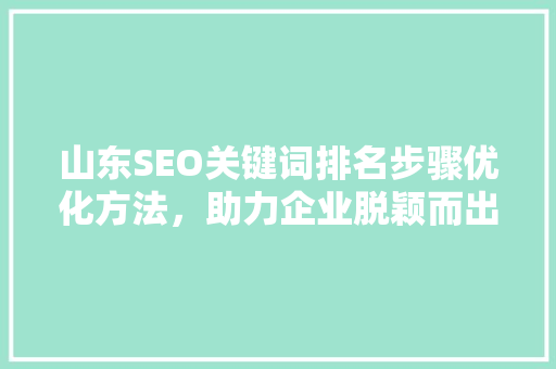 山东SEO关键词排名步骤优化方法，助力企业脱颖而出