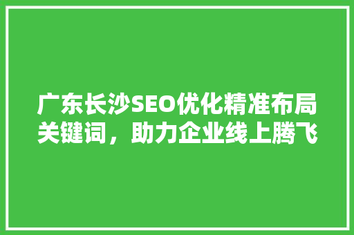 广东长沙SEO优化精准布局关键词，助力企业线上腾飞