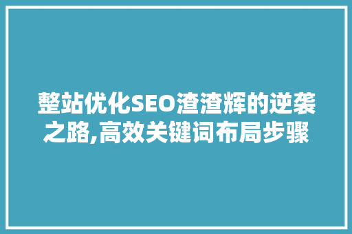整站优化SEO渣渣辉的逆袭之路,高效关键词布局步骤