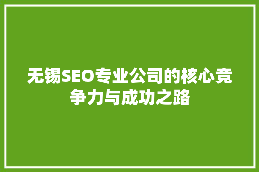 无锡SEO专业公司的核心竞争力与成功之路