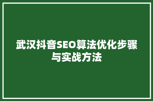 武汉抖音SEO算法优化步骤与实战方法