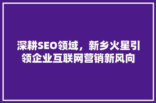 深耕SEO领域，新乡火星引领企业互联网营销新风向
