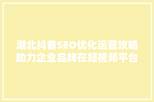 湖北抖音SEO优化运营攻略助力企业品牌在短视频平台脱颖而出