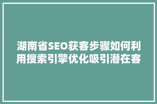 湖南省SEO获客步骤如何利用搜索引擎优化吸引潜在客户