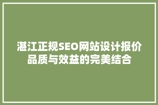 湛江正规SEO网站设计报价品质与效益的完美结合