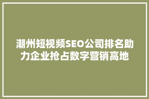 潮州短视频SEO公司排名助力企业抢占数字营销高地